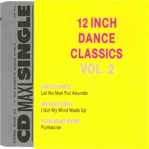 Various - 12 Inch Dance Classics Vol. 2 download flac mp3