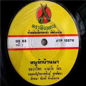 ชะบาไพร นามวัย / จงสวัสดิ์ วรจักร - หนูรักบ้านนา / ลืมแล้วบ้านนา download flac mp3