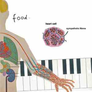 Food  - Sympathetic Heart Cell Fibres download flac mp3