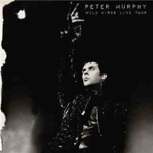 Peter Murphy - Wild Birds Live Tour download flac mp3