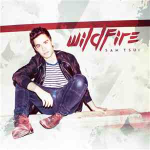 Sam Tsui - Wildfire download flac mp3