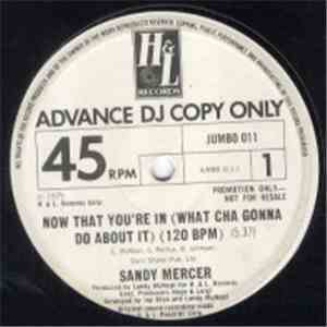 Sandy Mercer - Now That You're In (What Cha Gonna Do About It) download flac mp3