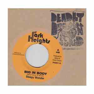 Sleepy Wonder - Big In Body / Mega Man download flac mp3