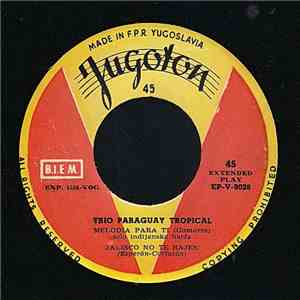 Trio Paraguay Tropical - Melodia Para Ti download flac mp3