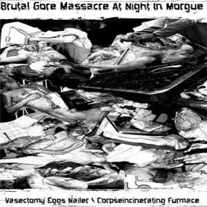 Vasectomy Eggs Nailer / Corpseincinerating Furmace - Brutal Gore Massacre At Night In Morgue download flac mp3
