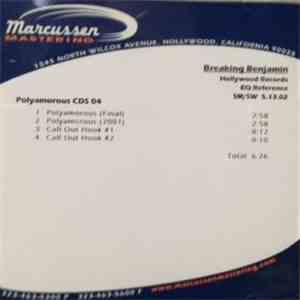 Breaking Benjamin - Polyamorous download flac mp3