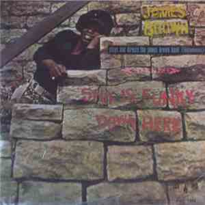 James Brown - Sho Is Funky Down Here download flac mp3