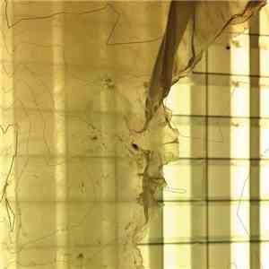 dsic - Tiamat/Taniwha download flac mp3