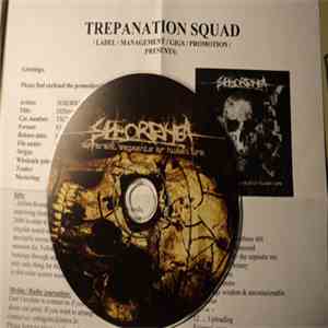 Seborrhea - Different Segments Of Human Life download flac mp3