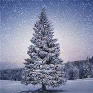 The Fabulous Playground Family - I'll Be Home For Christmas flac mp3 download