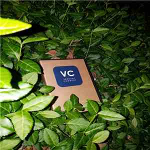 Coppice Halifax & Various - Verdant Compost download flac mp3