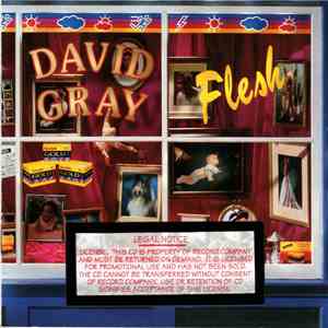 David Gray - Flesh download flac mp3