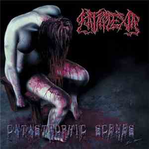 Kataplexia - Catastrophic Scenes download flac mp3