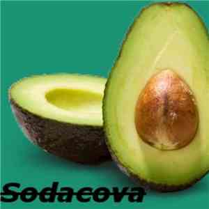 Ruustic, 5+9, CopYleft - Sodacova Records Sampler 000 download flac mp3