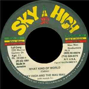 Sky High And The Mau Mau With Musick G. - What Kind Of World download flac mp3