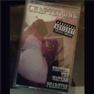 The Pharcyde - Testing The Waters download flac mp3