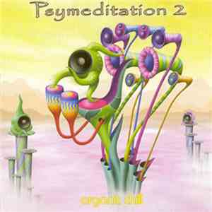 Various - Psymeditation 2 download flac mp3