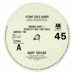 Andy Taylor - Stone Cold Sober download flac mp3