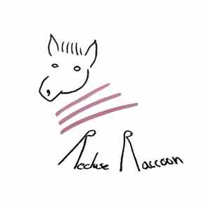 Recluse Raccoon - Horse EP download flac mp3