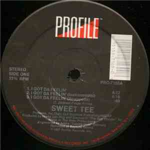 Sweet Tee - I Got Da Feelin' / It's Like That Y'all download flac mp3