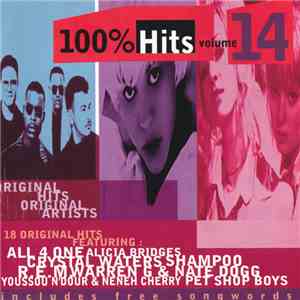 Various - 100% Hits Volume 14 download flac mp3