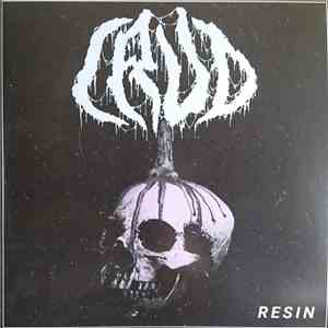 Crud  - Resin download flac mp3