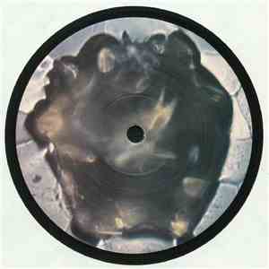 Lancelot  - Transport download flac mp3