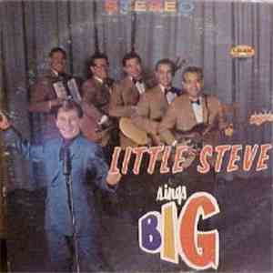 Little Steve - Sings Big download flac mp3