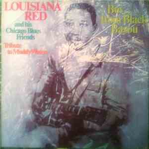 Louisiana Red And His Chicago Blues Friends - Boy From Black Bayou download flac mp3