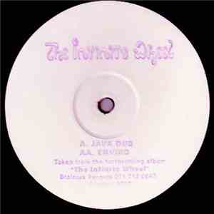 The Infinite Wheel - Java Dub / Enviro download flac mp3
