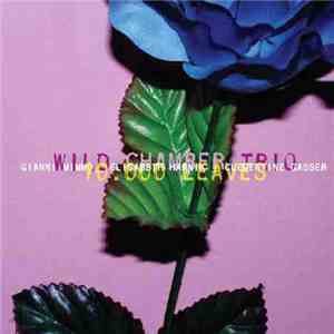 Wild Chamber Trio - 10000 Leaves download flac mp3