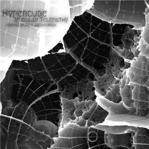 Hypercube - Modular Telepathy download flac mp3