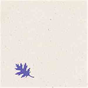 Ryan Gregory & Christine Jeanine - 1123 Morley Ave. flac mp3 download