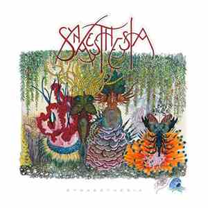 Synaesthesia  - Synaesthesia download flac mp3