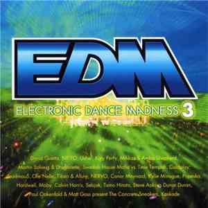 Various - EDM Electronic Dance Madness 3 download flac mp3