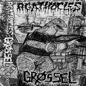 Agathocles / Grossel - Split download flac mp3