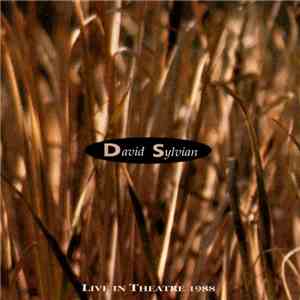 David Sylvian - Live In Theatre 1988 download flac mp3
