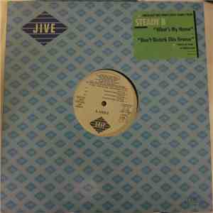 Steady B - What's My Name / Don't Disturb This Groove download flac mp3