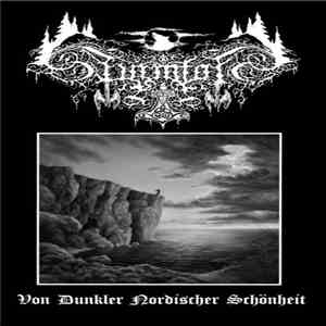 Sturmfolk - Von Dunkler Nordischer Schönheit download flac mp3