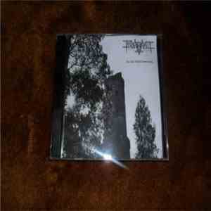 Todgeweiht - Der alte wald download flac mp3
