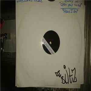 Gary D. - Open Your Mind/Here I Go download flac mp3