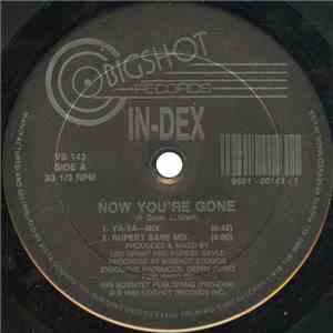 In-Dex - Now You're Gone download flac mp3