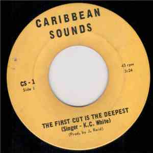K.C. White - The First Cut Is The Deepest download flac mp3