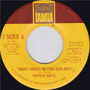 Marvin Gaye - Mercy Mercy Me (The Ecology) download flac mp3