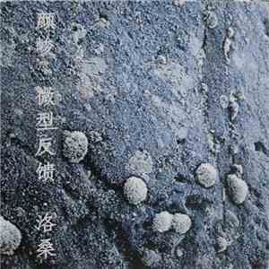 Yan Jun - Micro Feedback, Lausanne download flac mp3