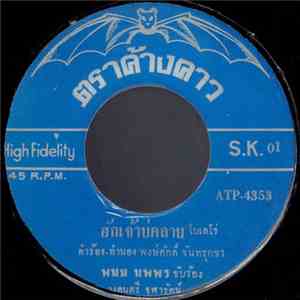 พนม นพพร / กนก เกตุกาญจน์ - ฮักเจ้าบ่คลาย / ไตรรงค์ธงไทย download flac mp3
