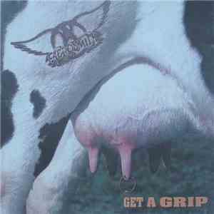 Aerosmith - Get A Grip download flac mp3