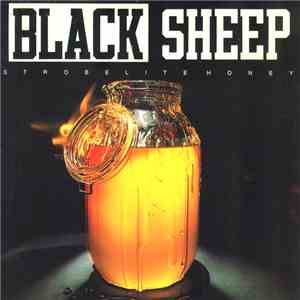 Black Sheep - Strobelite Honey download flac mp3