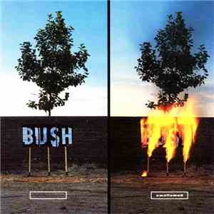 Bush - Swallowed download flac mp3