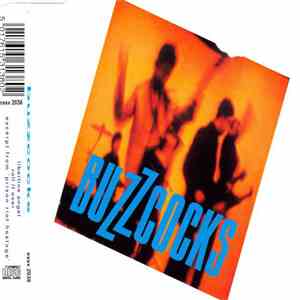 Buzzcocks - Libertine Angel download flac mp3